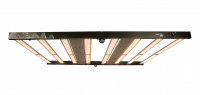 neutron_33_1x