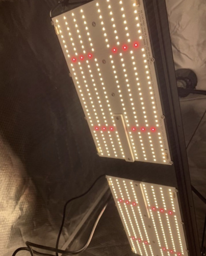 Фото LED панель с диммером Quantum board 240 Вт Samsung lm301h+Osram 660