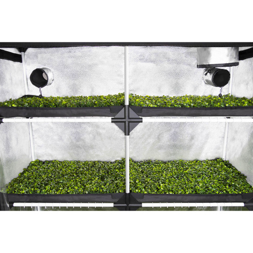 Фото Гроубокс Garden Highpro Probox Propagator XL 120x40x200 см