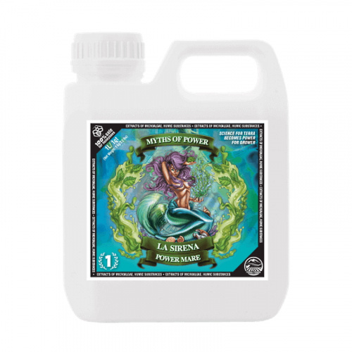 Фото LA SIRENA POWER MARE