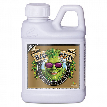 Фото анонса Стимулятор цветения Advanced Nutrients Big Bud Coco 