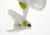 Вентилятор на клипсе Garden Highpro Clip Fan 15 см 15 w купить в магазине RGS-market Фото Вентилятор на клипсе Garden Highpro Clip Fan 15 см 15 w