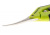 Фото Ножницы GARDEN HIGHPRO ProCut Curved Blades